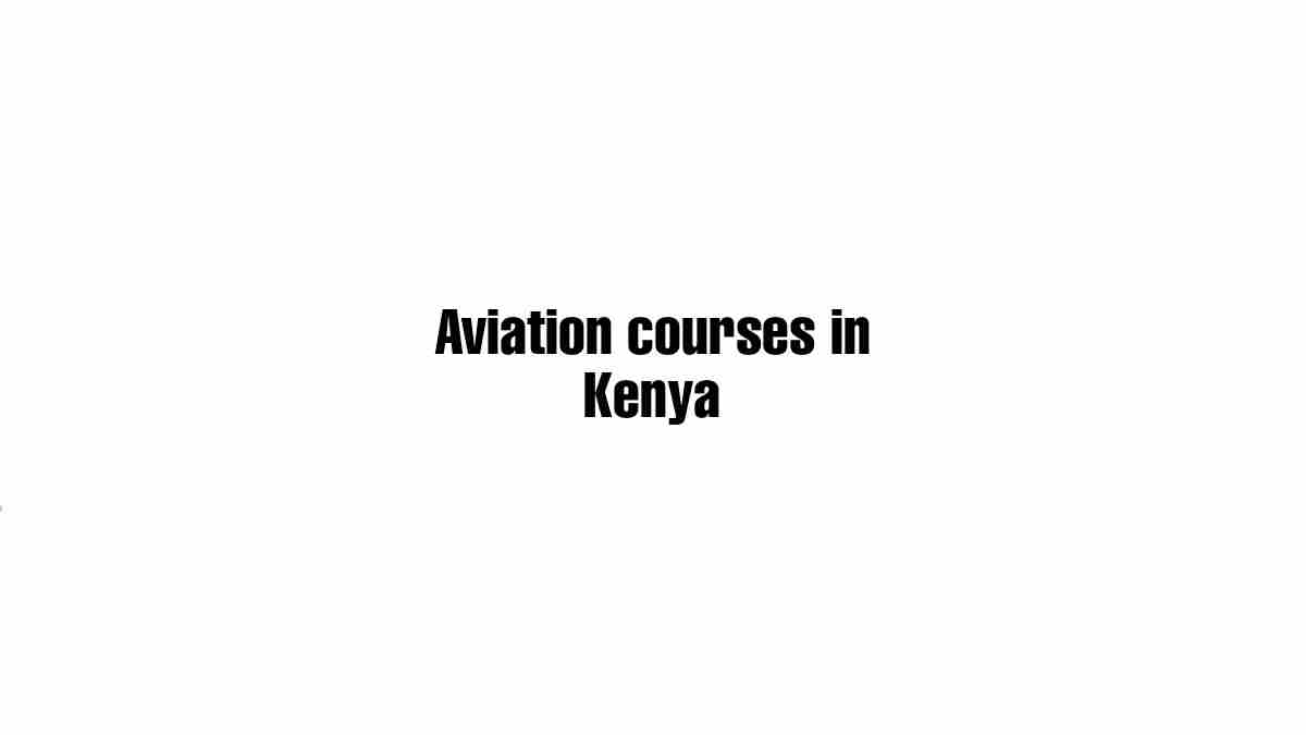 MOMBASA AVIATION COURSES visual data 7