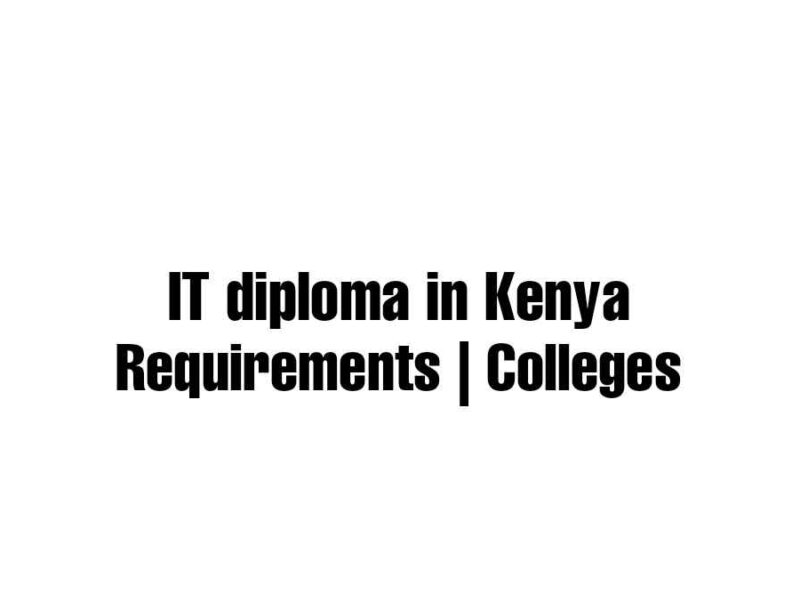 Diploma in IT (Information technology) requirements and colleges